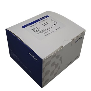 SARS-CoV-2 Test Kit (Real-time PCR)